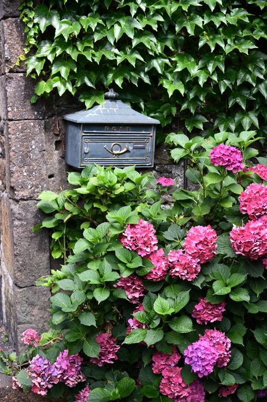 min 2023 08 13 Salers 141